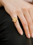 3 in 1 Aquarius Zodiac Ring