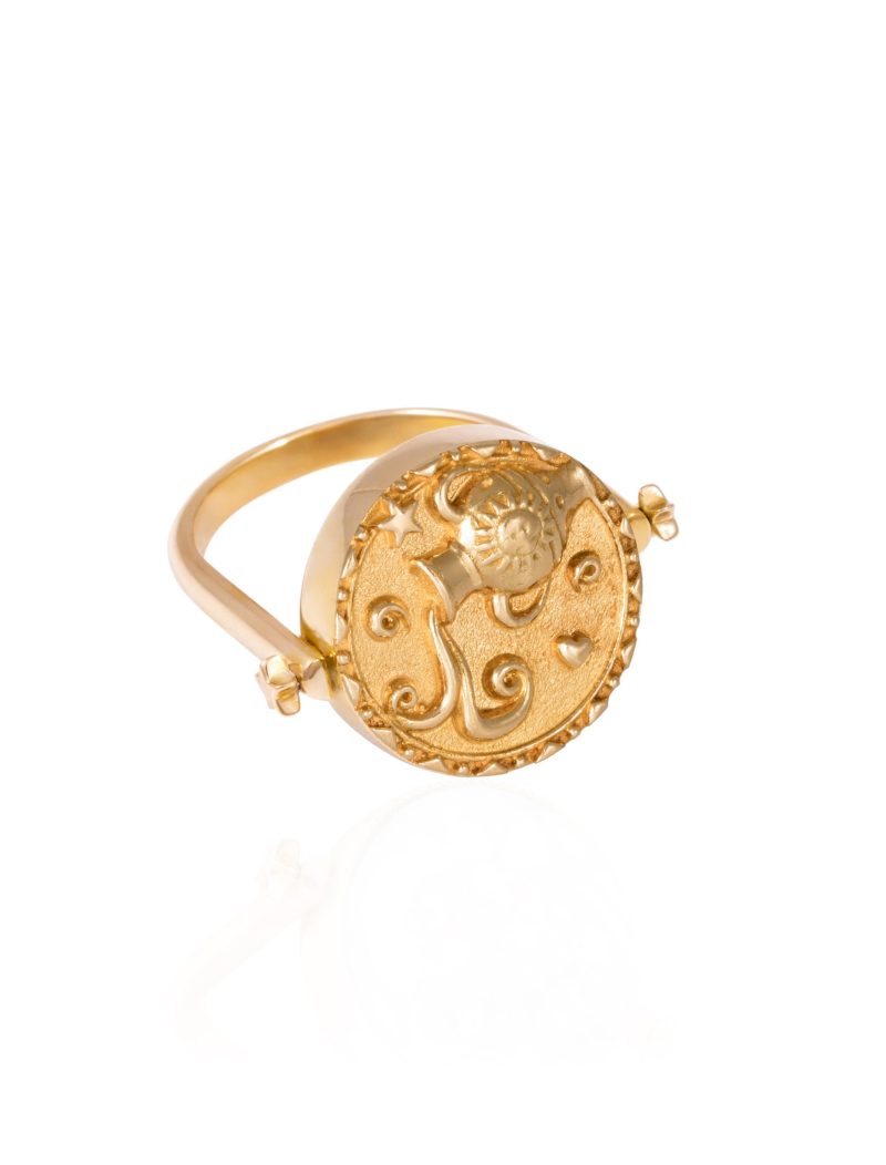 3 in 1 Aquarius Zodiac Ring