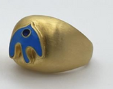 Sky Whisper - T Model