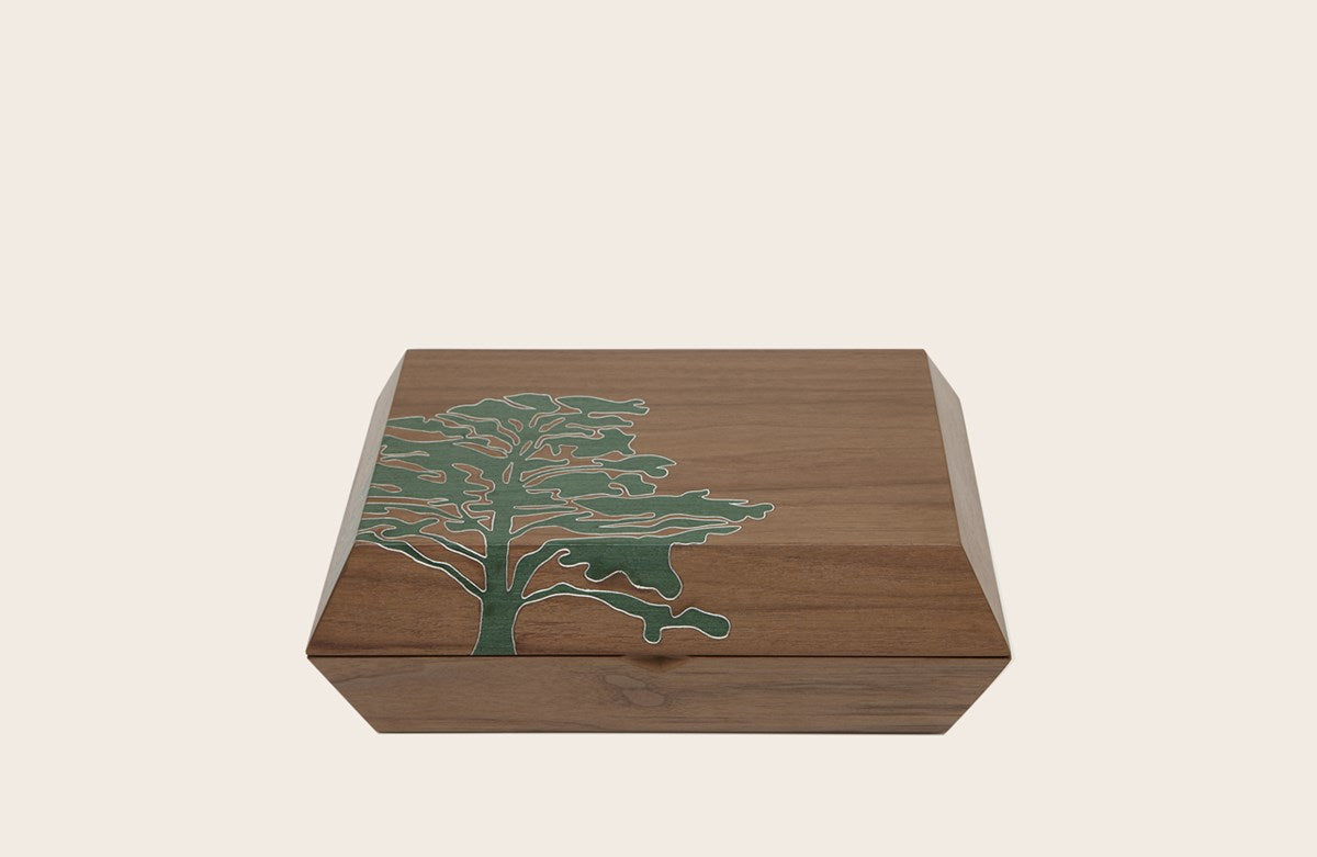 Humidor Box