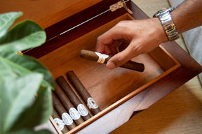 Humidor Box